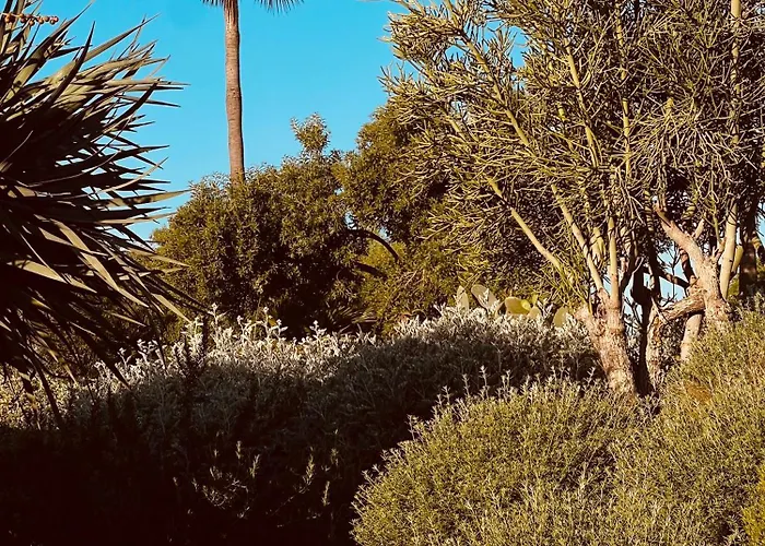 Casa Da Ria Willa Tavira