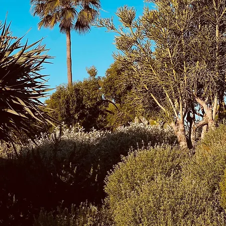 Casa Da Ria Villa Tavira